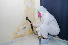 Biohazard Mold Removal in Tulare, CA